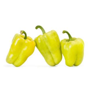 פלפל נהריה בהיר