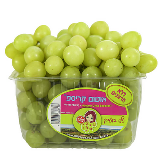 אוטום קריספ- ענבי טלי
